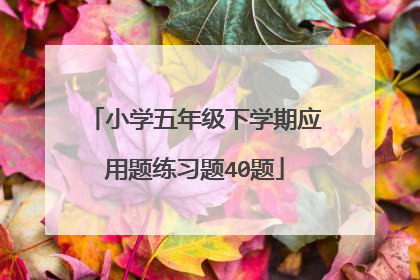 小学五年级下学期应用题练习题40题