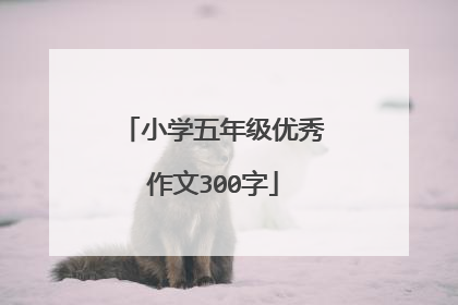小学五年级优秀作文300字