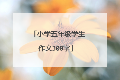 小学五年级学生作文300字