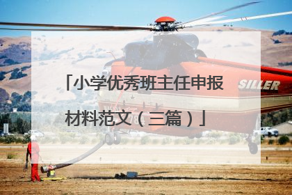 小学优秀班主任申报材料范文（三篇）