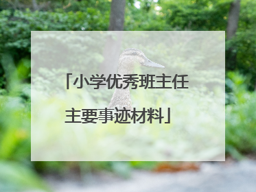 小学优秀班主任主要事迹材料