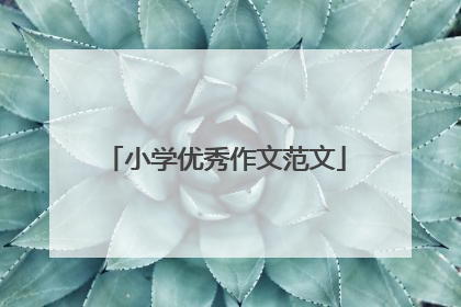 小学优秀作文范文