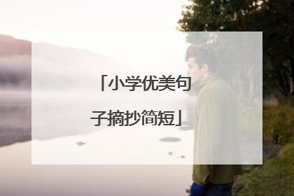 小学优美句子摘抄简短