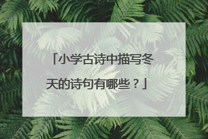 小學古詩中描寫冬天的詩句有哪些?