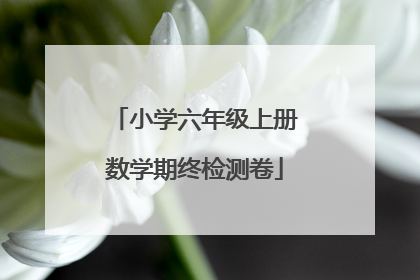小学六年级上册数学期终检测卷