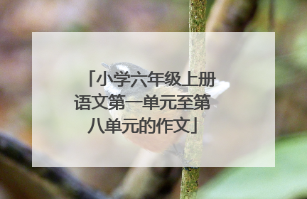 小学六年级上册语文第一单元至第八单元的作文