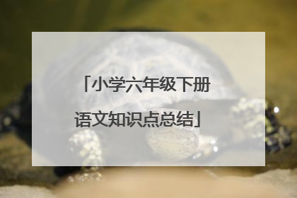 小学六年级下册语文知识点总结