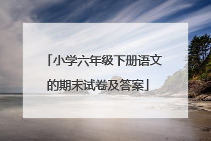 小学六年级下册语文的期末试卷及答案