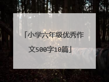 小学六年级优秀作文500字10篇