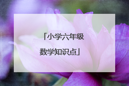 小学六年级数学知识点