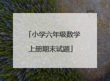 小学六年级数学上册期末试题