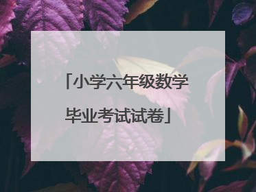 小学六年级数学毕业考试试卷