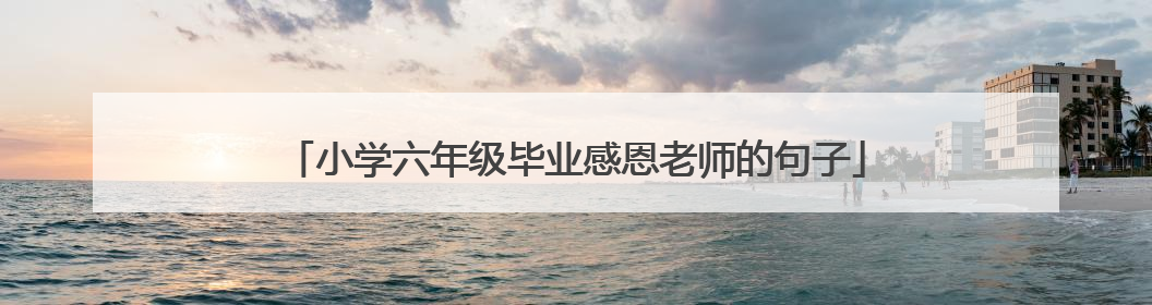 小学六年级毕业感恩老师的句子
