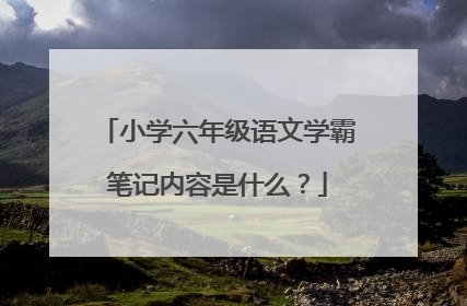 小学六年级语文学霸笔记内容是什么？
