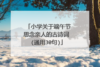 小学关于端午节思念亲人的古诗词(通用30句)