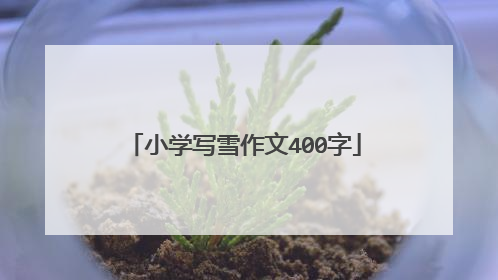 小学写雪作文400字