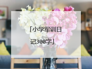 小学军训日记300字