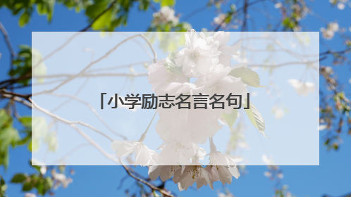 小学励志名言名句