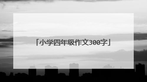 小学四年级作文300字