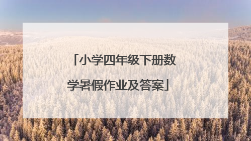 小学四年级下册数学暑假作业及答案