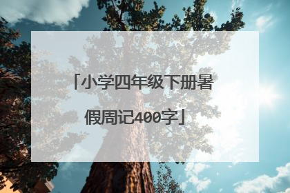 小学四年级下册暑假周记400字