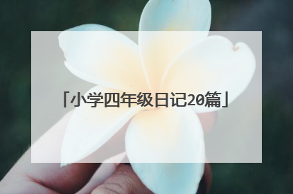 小学四年级日记20篇