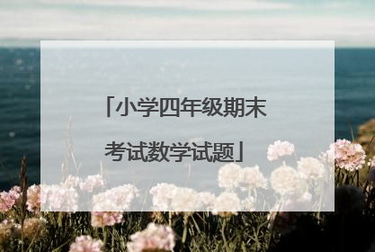 小学四年级期末考试数学试题