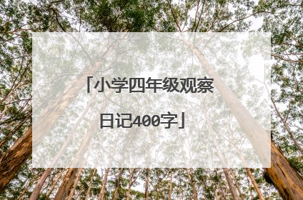 小学四年级观察日记400字