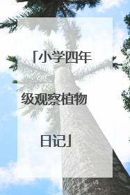 小学四年级观察植物日记