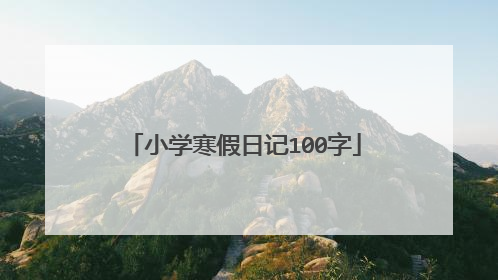 小学寒假日记100字