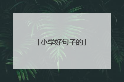 小学好句子的