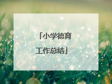 小学德育工作总结