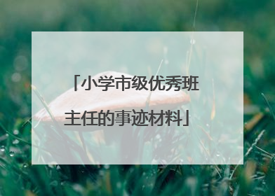 小学市级优秀班主任的事迹材料