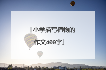小学描写植物的作文400字