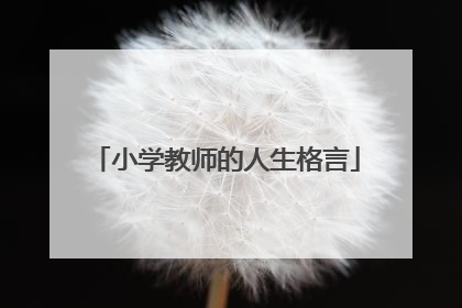 小学教师的人生格言