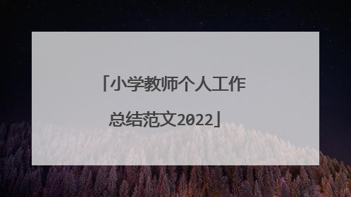 小学教师个人工作总结范文2022