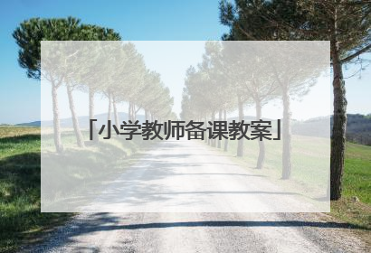 小学教师备课教案