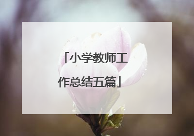 小学教师工作总结五篇
