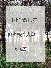 小学教师年度考核个人总结6篇