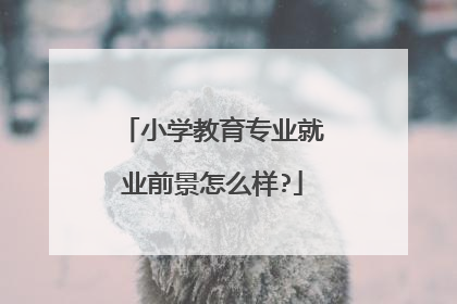 小学教育专业就业前景怎么样?