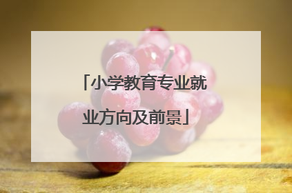 小学教育专业就业方向及前景