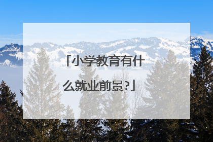 小学教育有什么就业前景?