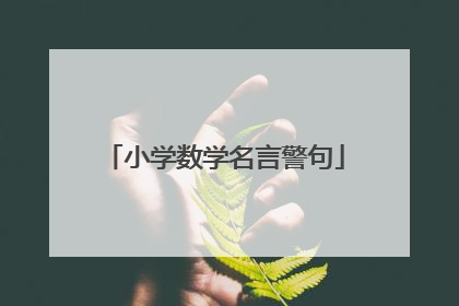 小学数学名言警句