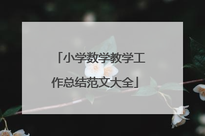 小学数学教学工作总结范文大全