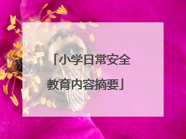 小学日常安全教育内容摘要