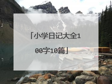 小学日记大全100字10篇