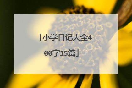 小学日记大全400字15篇