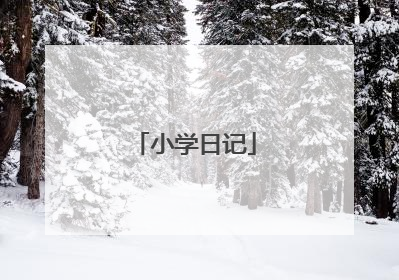 小学日记