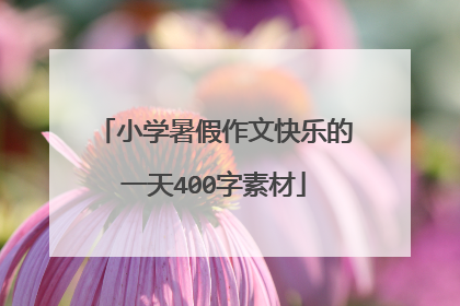 小学暑假作文快乐的一天400字素材