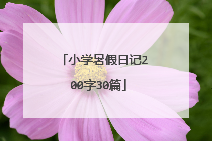 小学暑假日记200字30篇